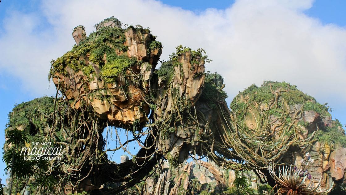 Where Can I Get Coffee at Animal Kingdom The Most Magical Blog {on Earth}